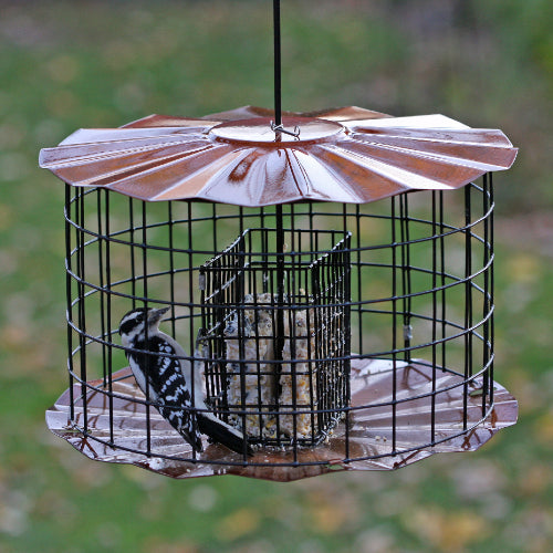 Bird Feeders