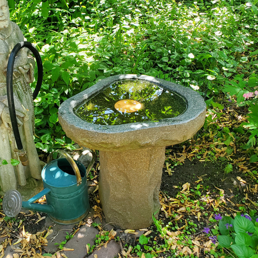 Bird Bath Purification Disk