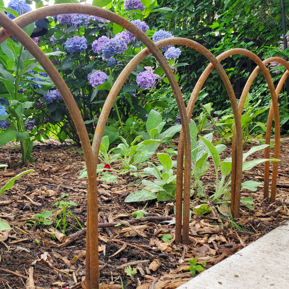 Garden Edging Hoops - 12 pack