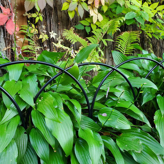 Garden Edging Hoops - 12 pack